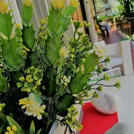 L'approdo Del Re Апартаменты Казерта