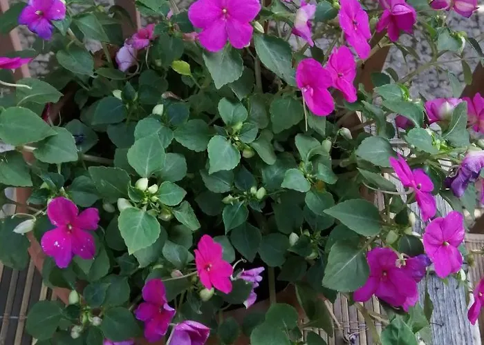 L'approdo Del Re Apartamento Caserta